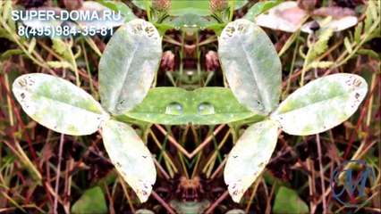 Ремонт фундамента, перемещение на новый фундамент