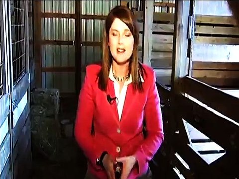 Camel tries eating TV Reporter's hair