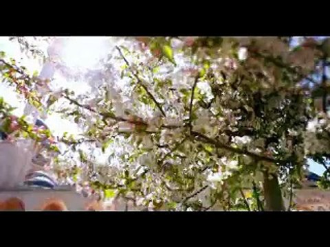 Mishari Rashid Al Afasy - Rahman