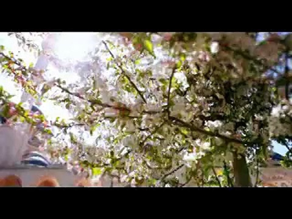 Mishari Rashid Al Afasy - Rahman