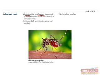 Microbiology Virology Part 3
