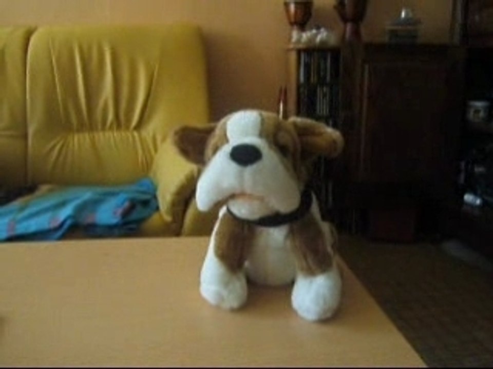 Ed le chien