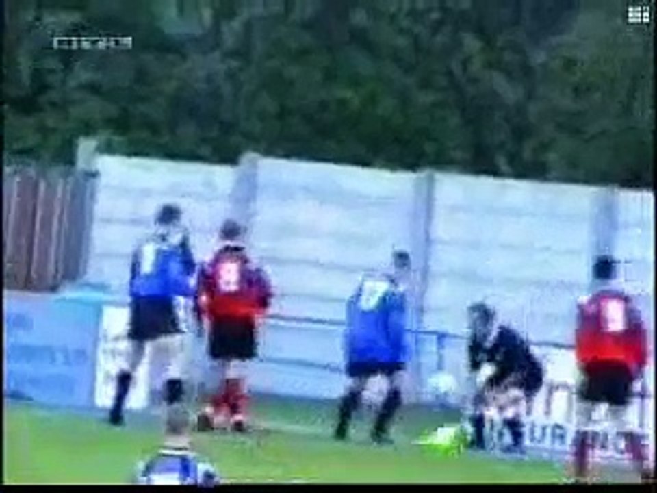 Funny Video (1)