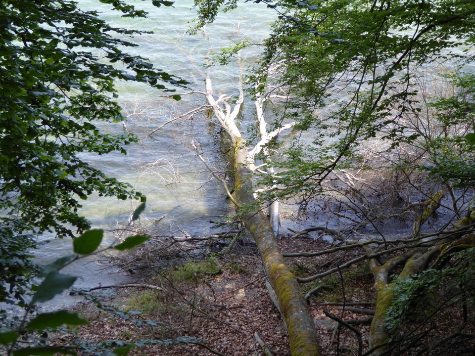 Marienschlucht am Bodensee