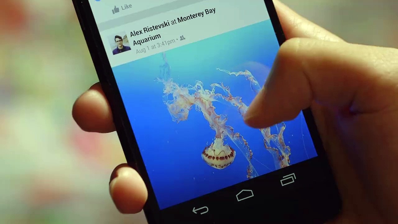 Facebook introducing the dislike button like 'like" button.