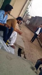 Ali bacha Nwl raCer 381 narowali baCha