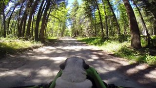 Off Roading with your Dogger Stroller