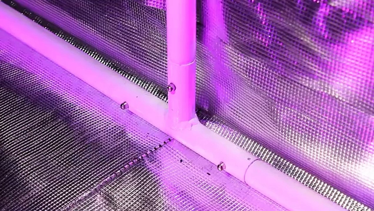 Gorilla Grow Tents | Best Hydroponics Grow Tebt Systems