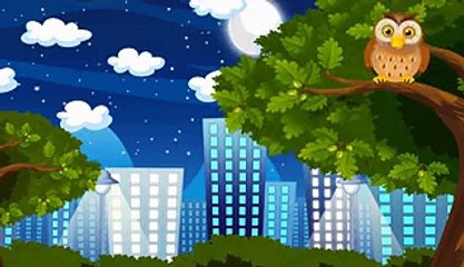 A Wise Old Owl Nursery Rhyme with lyrics