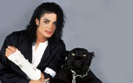 Michael Jackson - Black or White Karaoke