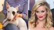 Reese Witherspoon Reveals New Cute Puppy