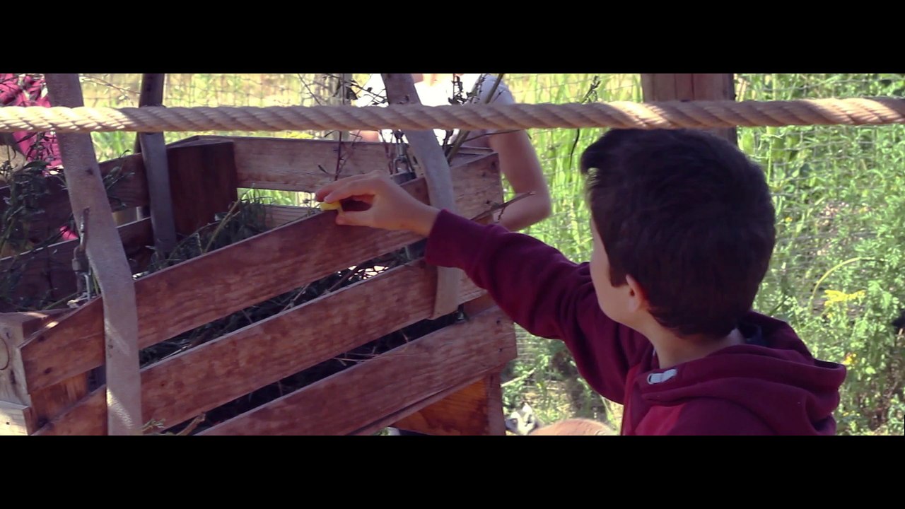 Rencontre avec les lémuriens et les pandas roux - expérience insolite du Parc Sainte-Croix