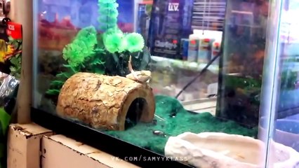 ЛУЧШИЕ ПРИКОЛЫ ЗА НЕДЕЛЮ (выпуск 1)