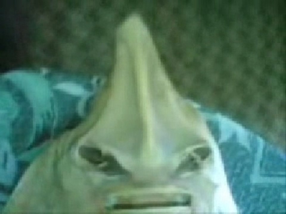 Poisson-alien
