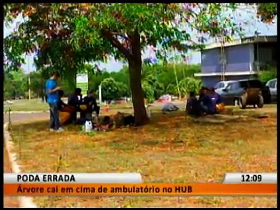 PODA ERRADA