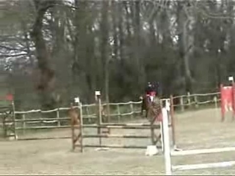 Poney PFS hongre 8 ans par ROCK DE TYV
