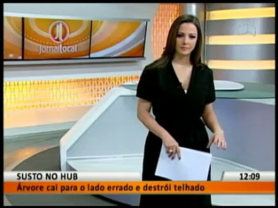 PANELAÇO