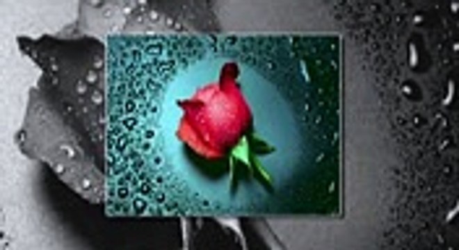 Waqt Ne Hum Se Kaisa Liya Imtihan