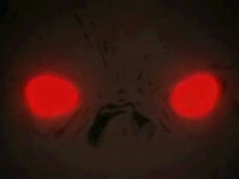 Amv tenjo tenge sentiments...
