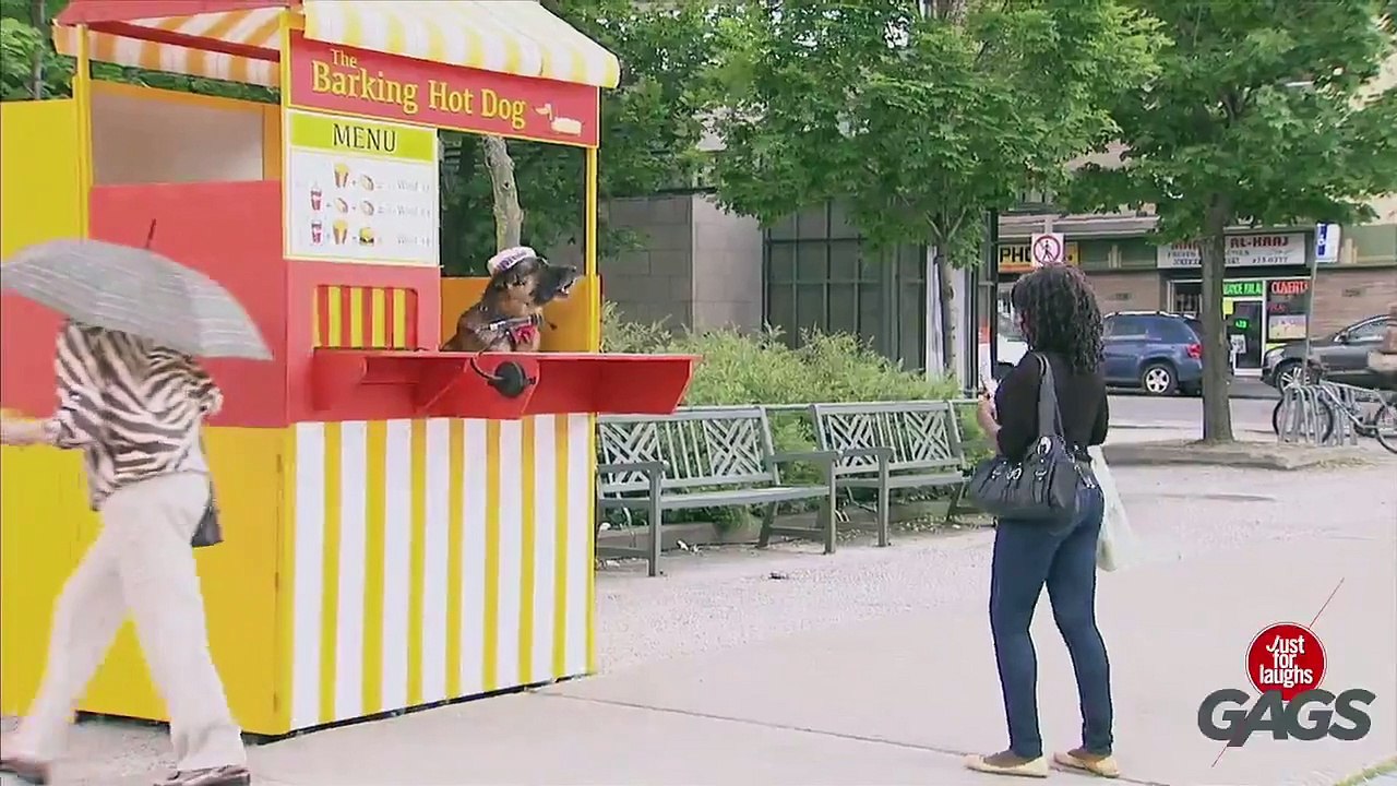 Dog Sells Hot Dogs Prank