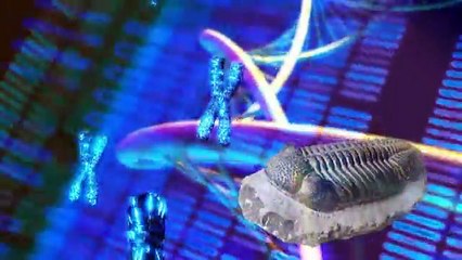 الحقبة الكامبرية كفيلة وحدها بهدم نظرية التطور