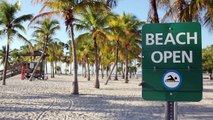 Les plages à ne pas manquer à Miami: Soleil et sable pour vos vacances en Floride