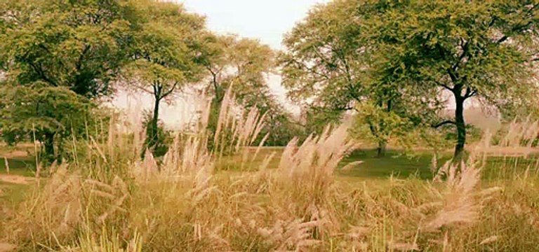 Dukh Lage Na Payi | Dialogue Promo | Punjab 1984 | Kirron Kher | Releasing 27th June 2014 [Full Episode]