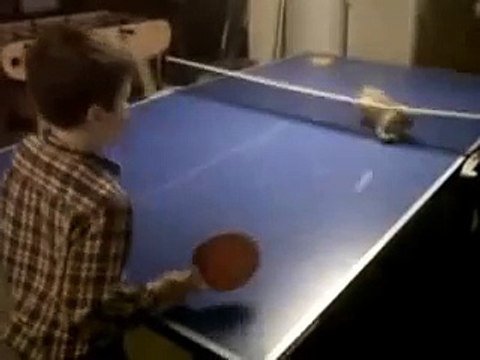 gato jugando ping pong