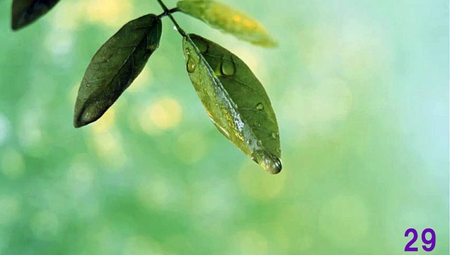 【3H】まったりジャズワルツ・Relaxed mood Jazz Waltz（長時間作業用BGM)