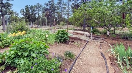 5004 Twin Oaks Loop Happy Jack AZ 86024