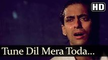 Tune Dil Mera Toda Kahi (HD) - Sanam Bewafa Songs - Salman Khan - Chandni - Lata Mangeshkar