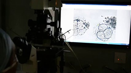 Discover How Laser Technology Enhances IVF Success Rates 🔬