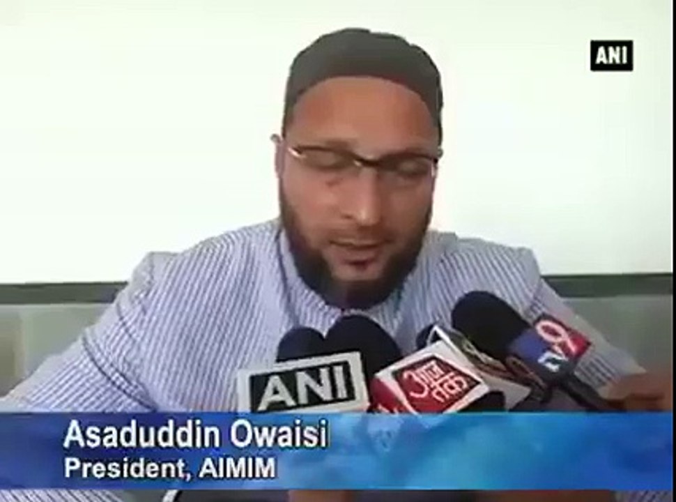 Owisi video