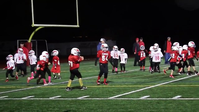 Milford Mighty Mites Hawk Whip