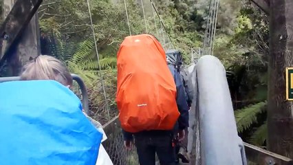 4 Français survivent à l'effondrement d'un pont en Nouvelle-Zélande