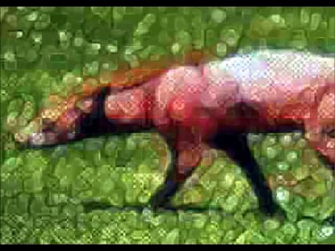 Cryptids and Paranormal Creatures