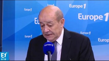 Le Drian: "La France a frappé Daech en Syrie cette nuit"