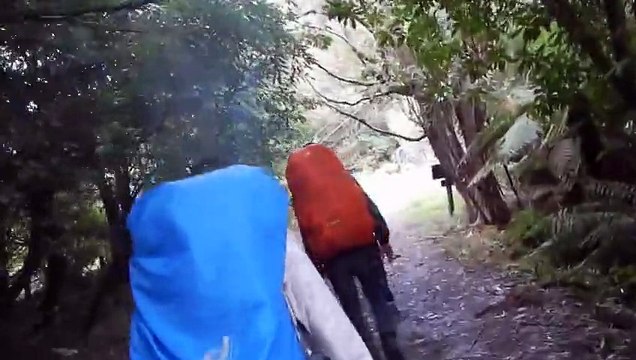 Un pont suspendu s’effondre sous les pieds de randonneurs français en Nouvelle-Zélande