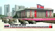 Key Chinese official in Pyongyang for military parade