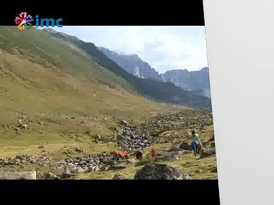 Hani Bunun Yeşili?