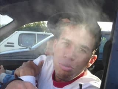 Lim & Alibi Montana - Traffic