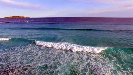 Скачать видео: Drone Captures Awesome Footage Of A Paddleboarder’s Encounter With Two Whales