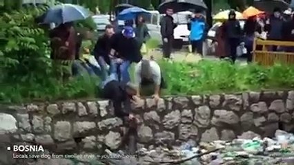 this video is sure to restore your faith in humanity.