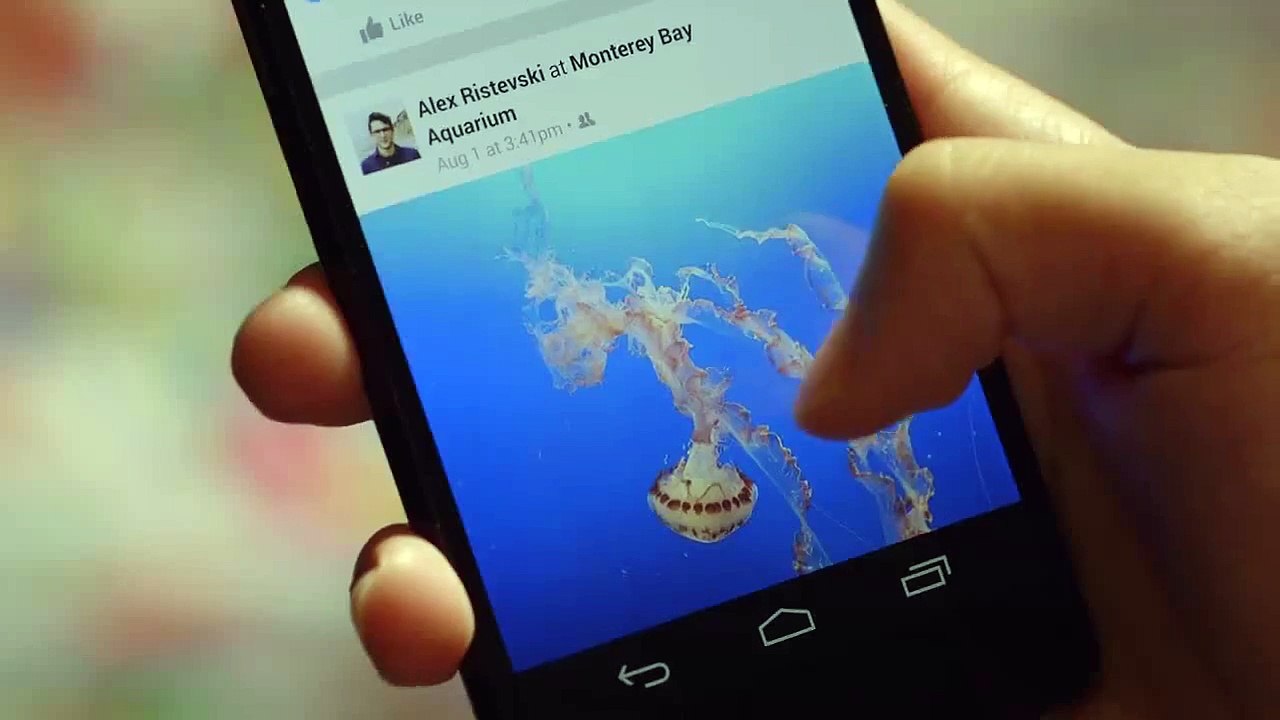 Bouton Facebook Reaction