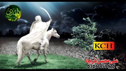 Aye Askari k Laal Zamany Ky Ammam Aa Ja || New Noha || Ali Mohsin Faryad ||