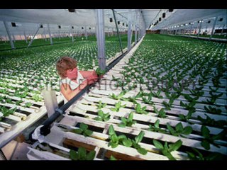 Glenwood Caverns Adventure Park in Colorado
