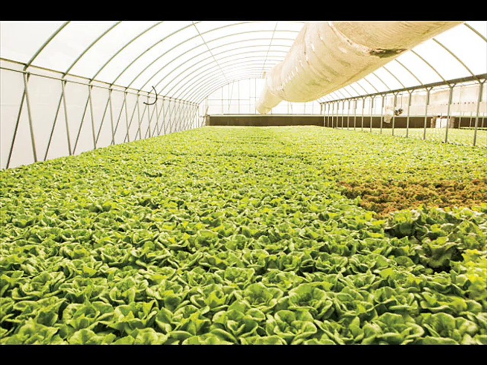 Tips On Ensuring Your Safety On An Extreme Hobby