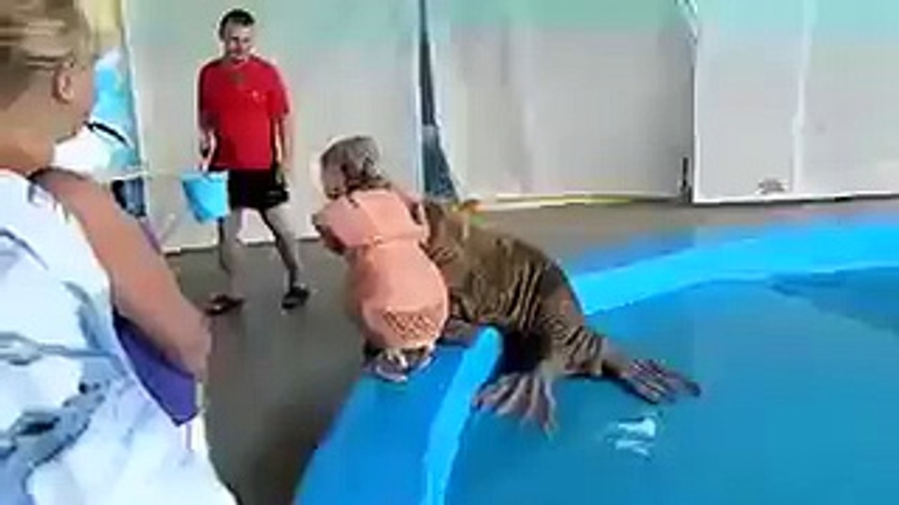 Хулиган
