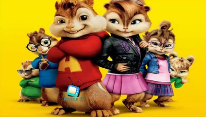 Nilifer Haziran vakti alvin sincap