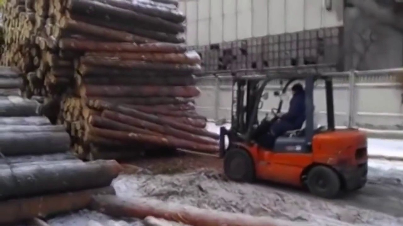 Wild lumber worker